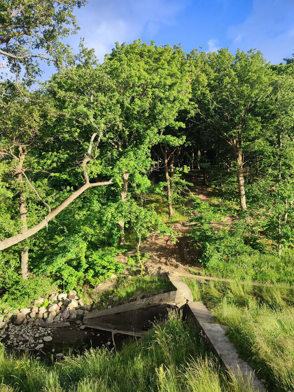 Гостиница Круиз Пионерский-159