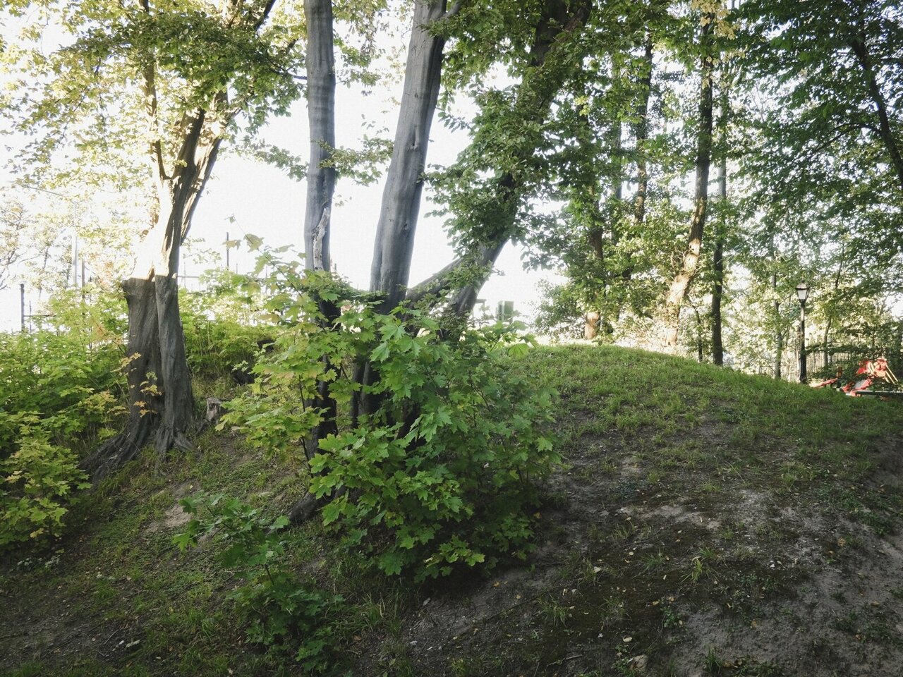 Гостиница Круиз Пионерский