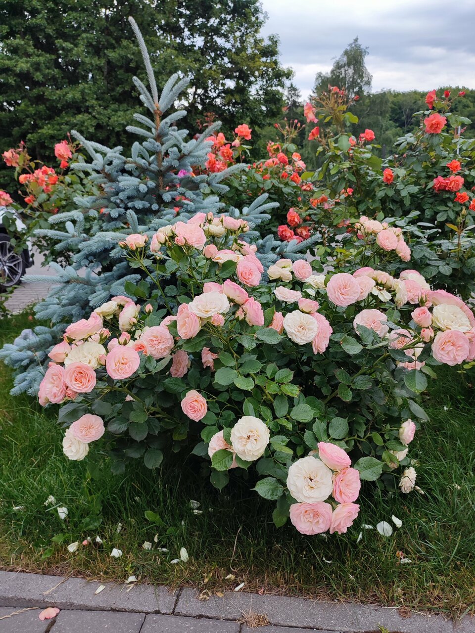 Гостиница Круиз Пионерский-138