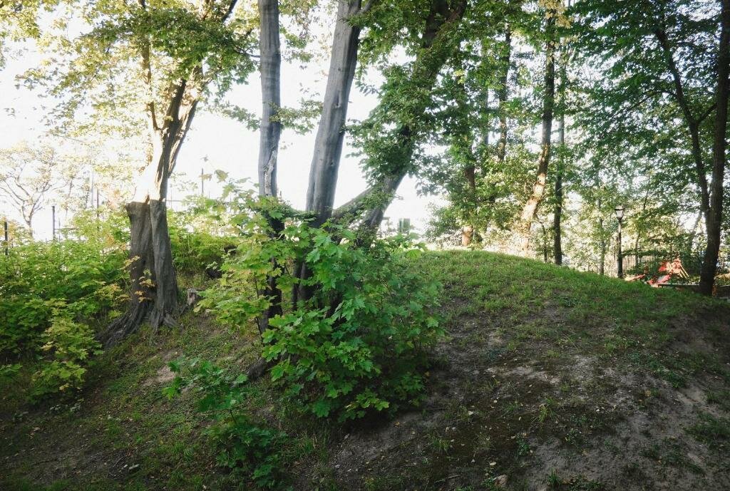 Гостиница Круиз Пионерский-78