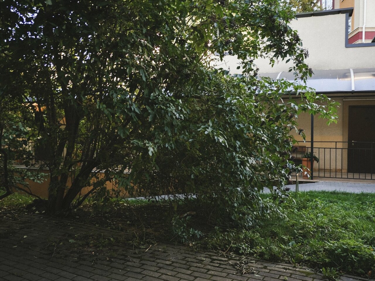 Гостиница Круиз Пионерский