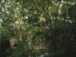 Гостиница Круиз Пионерский Номер-студия с видом на море-10