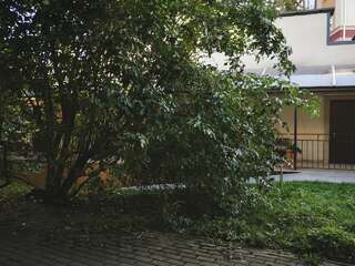 Гостиница Круиз Пионерский Номер-студия с видом на море-1