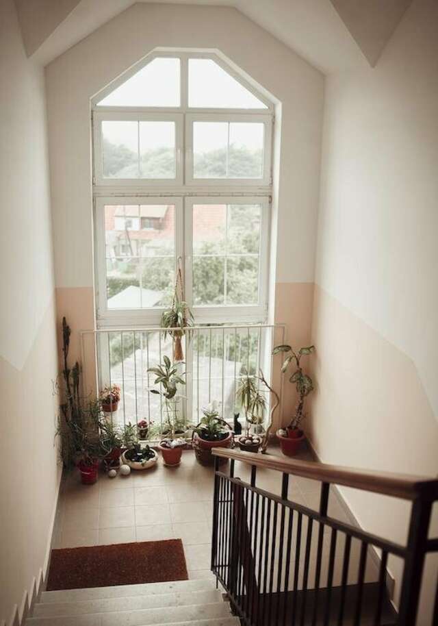 Гостиница Круиз Пионерский-19