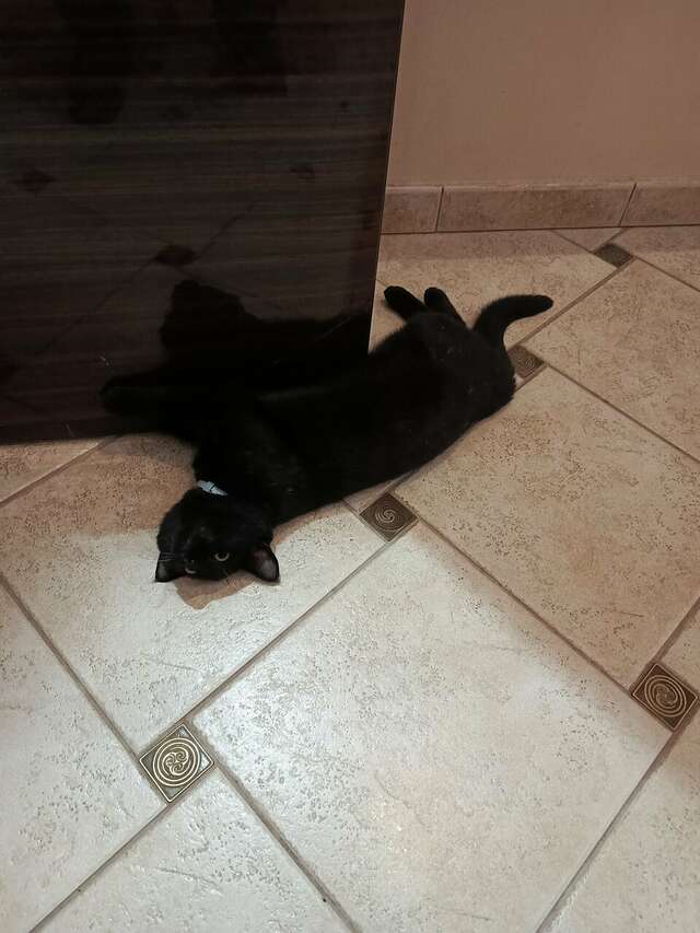 Гостиница Круиз Пионерский-168