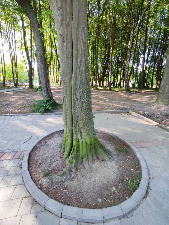 Гостиница Круиз Пионерский-169